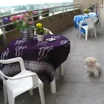 타탐카 *